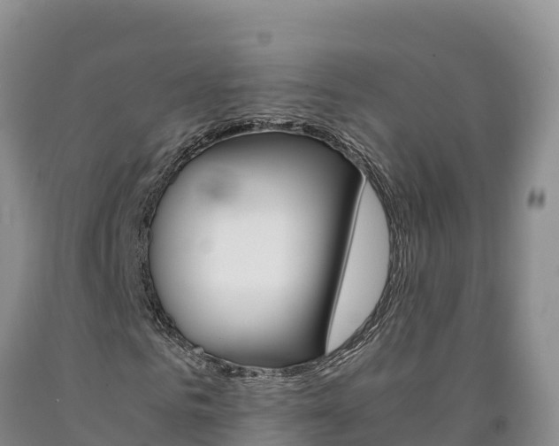X0000090880961200707271013
