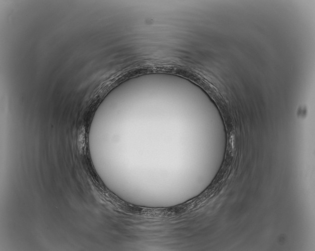 X0000090880963200707271013