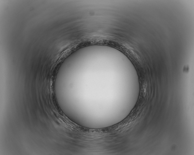 X0000090880964200707271013