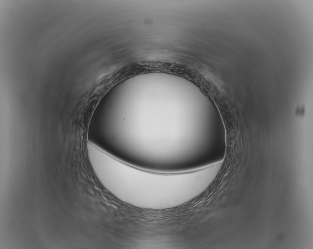 X0000090880965200707271013