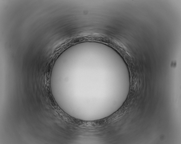 X0000090880966200707271012
