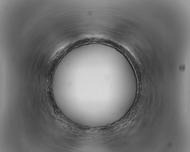 X0000090880967200707271012