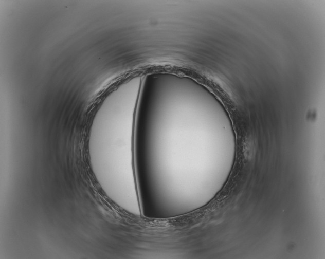 X0000090880968200707271012