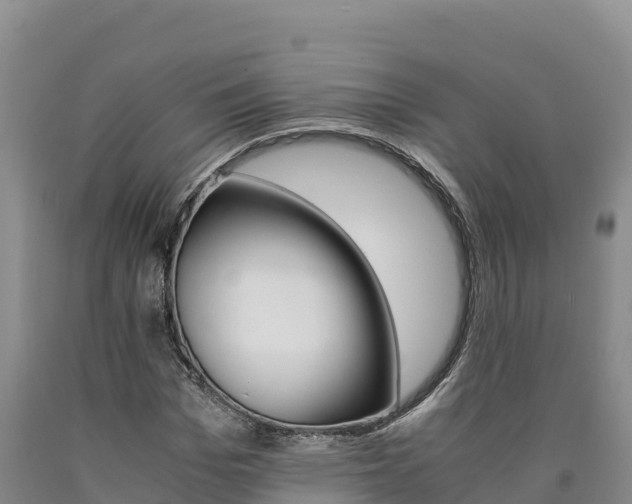 X0000090880969200707271012