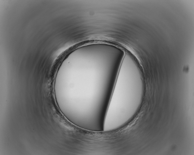 X0000090880971200707271012