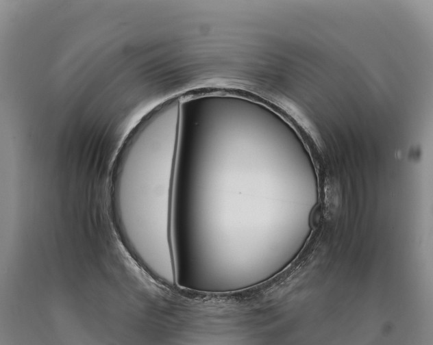 X0000090880972200707271012