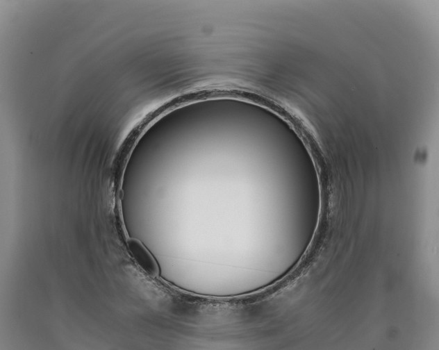 X0000090880973200707271012