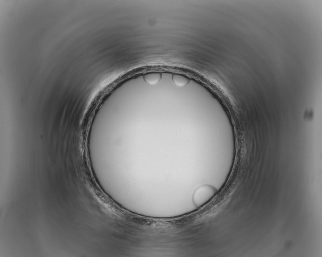 X0000090880974200707271012