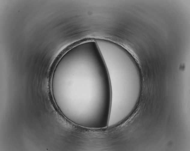 X0000090880976200707271012