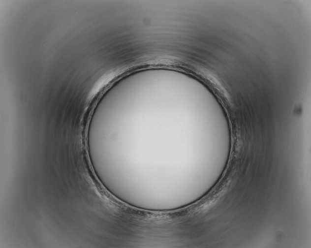 X0000090880978200707271012