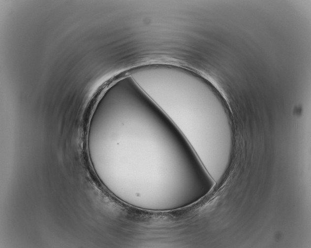 X0000090880979200707271012