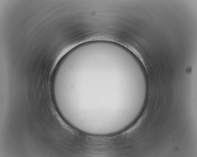 X0000090880981200707271012
