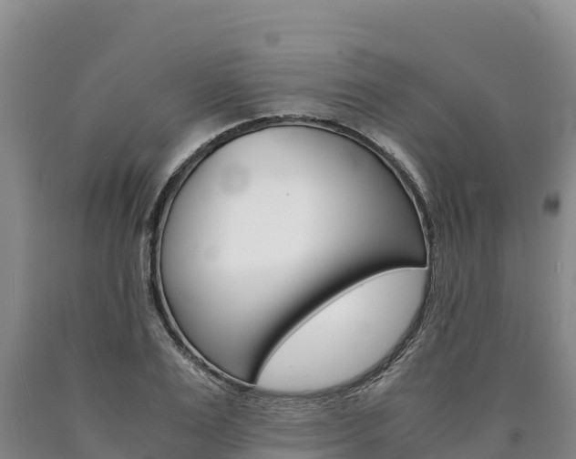 X0000090880983200707271012