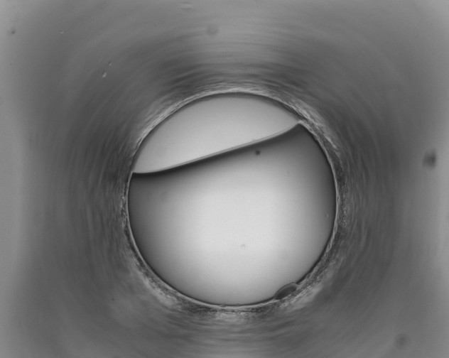 X0000090880985200707271012