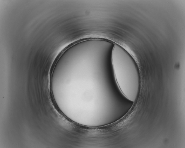 X0000090880988200707271012