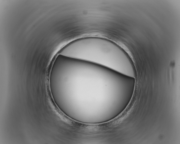 X0000090880989200707271012