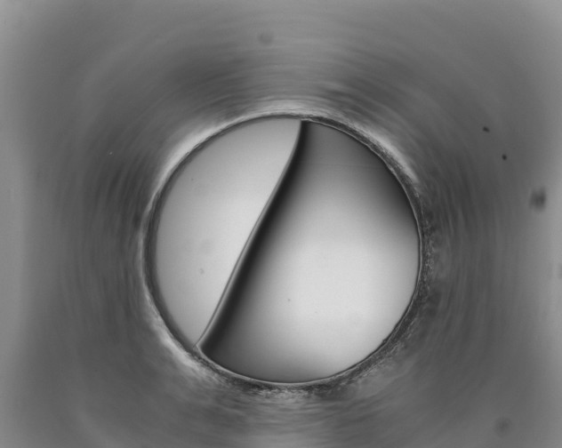 X0000090880991200707271012