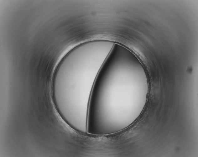 X0000090880992200707271012