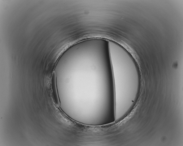 X0000090880993200707271012