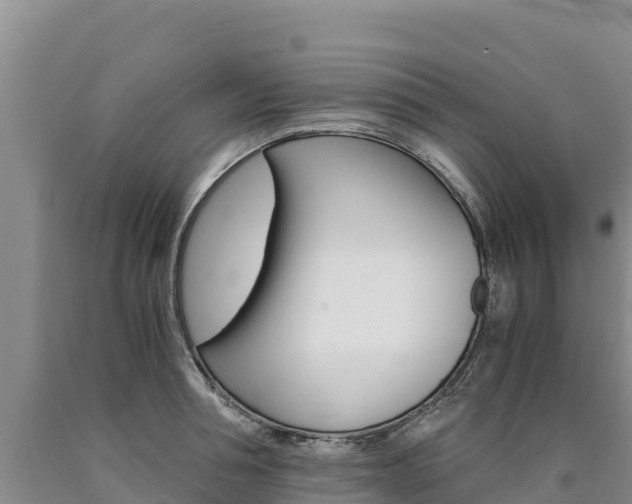 X0000090880994200707271012