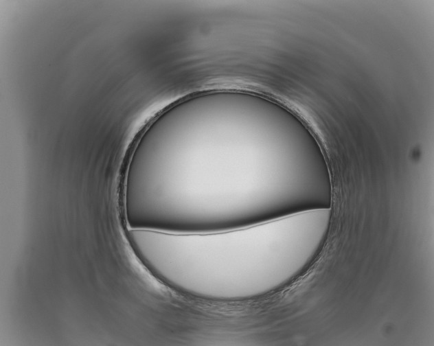 X0000090880995200707271012
