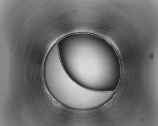 X0000090880996200707271012
