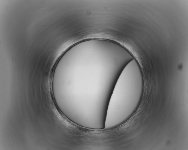 X0000090880998200707271012