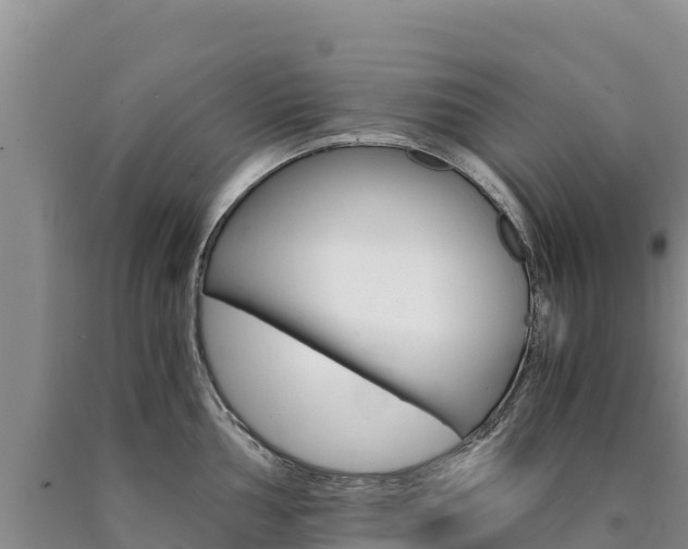 X0000090881002200707271012