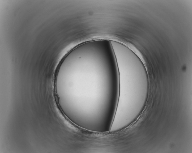 X0000090881005200707271012