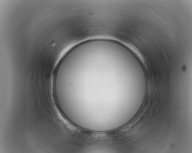 X0000090881006200707271012
