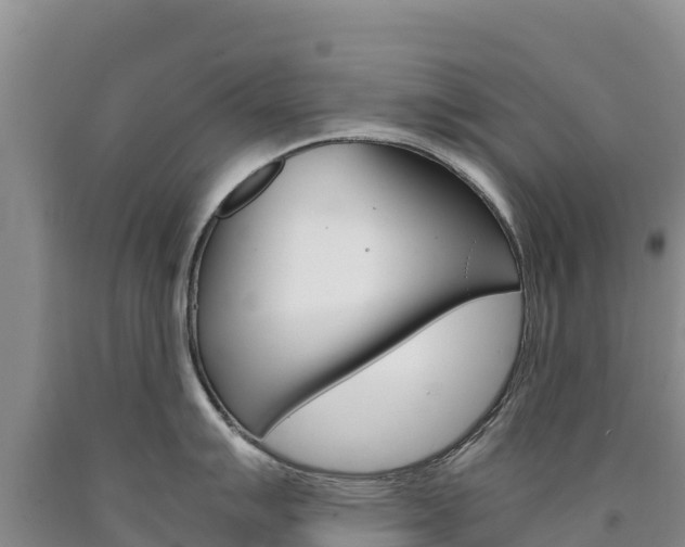 X0000090881007200707271012