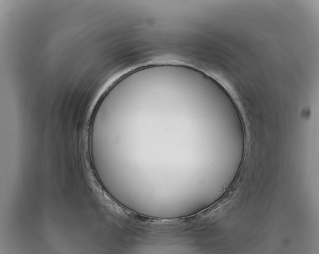 X0000090881008200707271012