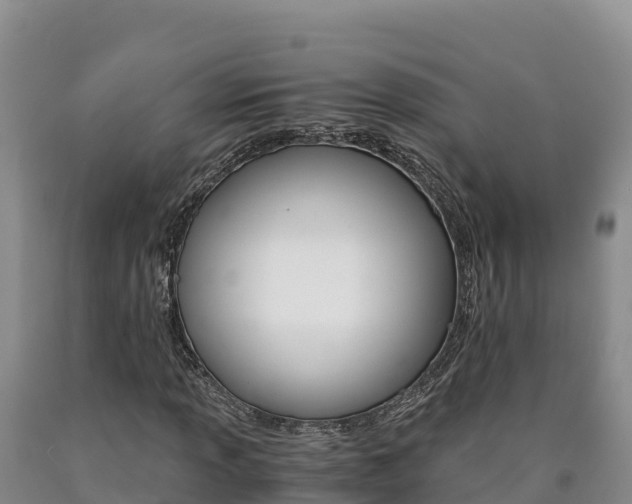 X0000090881013200707271011