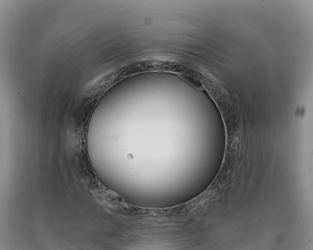 X0000090881014200707271011