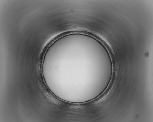 X0000090881021200707271012