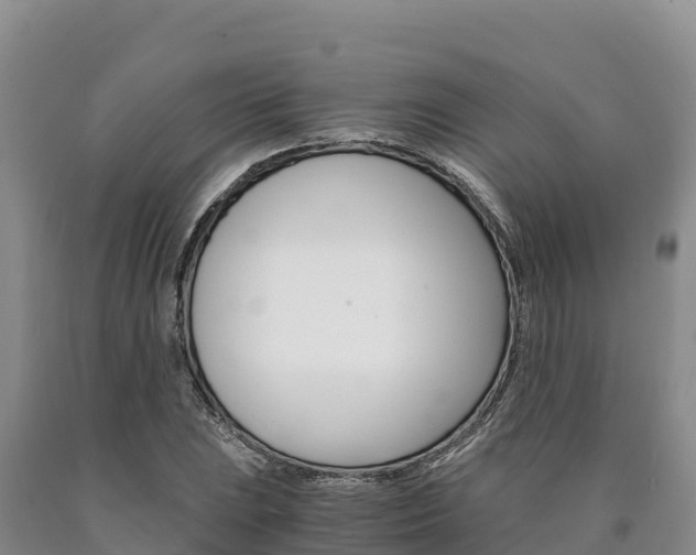 X0000090881023200707271012
