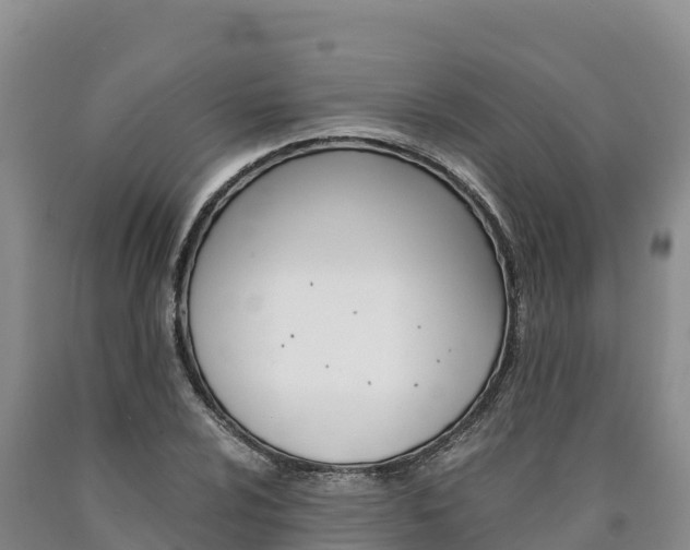 X0000090881024200707271012