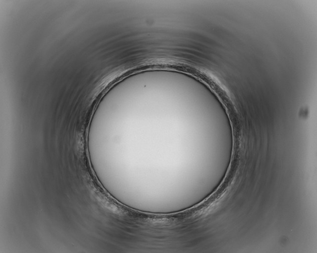 X0000090881025200707271012