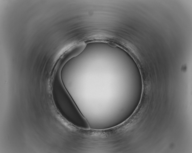 X0000090881026200707271012