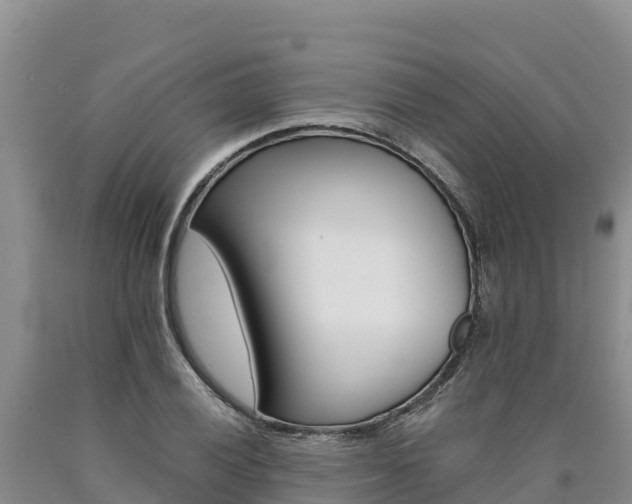 X0000090881028200707271012