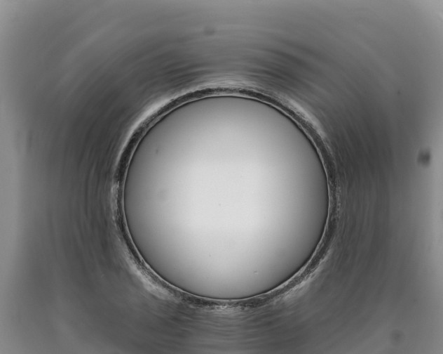 X0000090881029200707271012