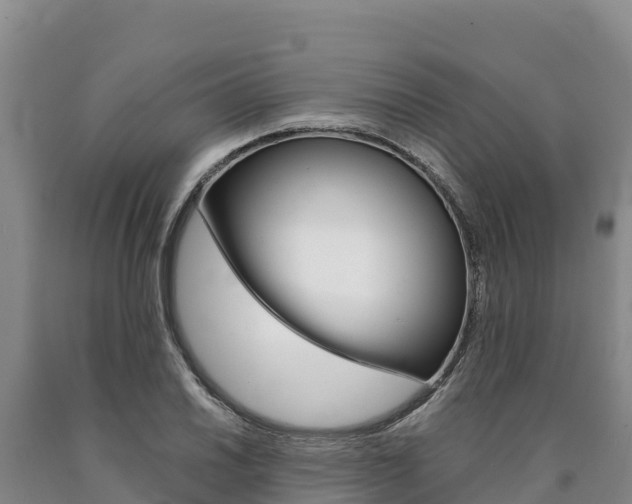 X0000090881030200707271012