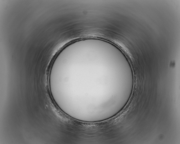 X0000090881031200707271012