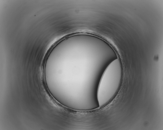 X0000090881032200707271012