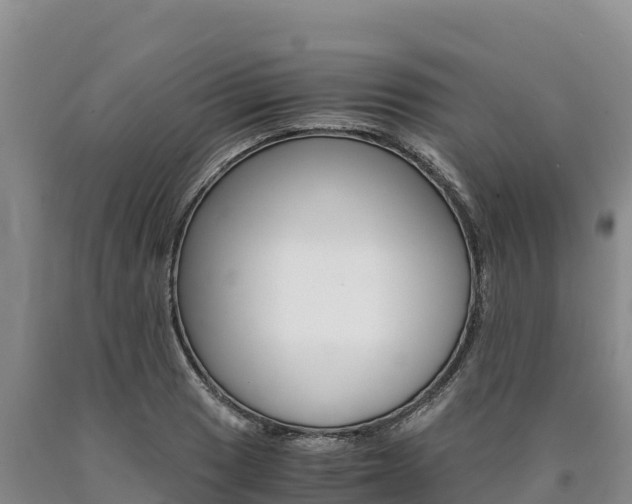 X0000090881033200707271012