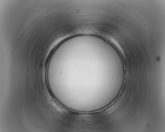 X0000090881035200707271012