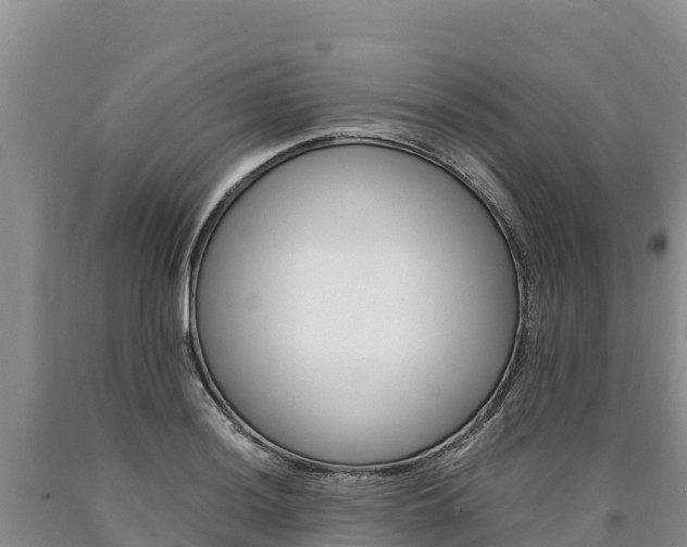 X0000090881036200707271012