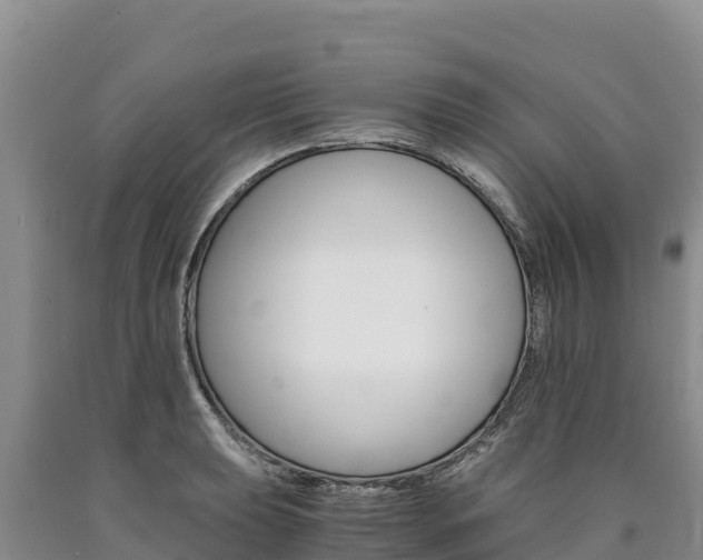X0000090881039200707271012