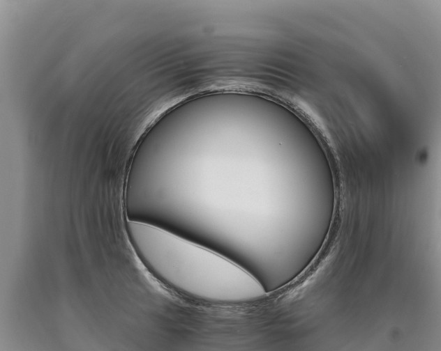 X0000090881041200707271012