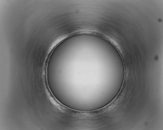 X0000090881042200707271012
